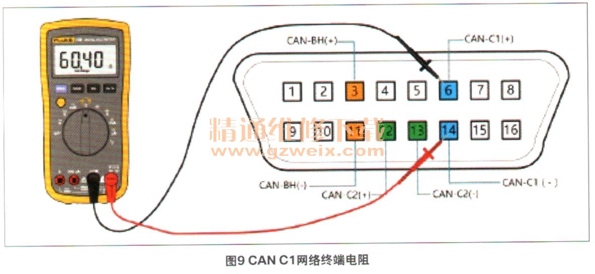 彩库网，系统分析解释落实_基础版11.36.10