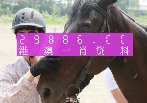 今晚澳门必中一肖一码适囗务目，深入解答解释落实_AR版98.30.62